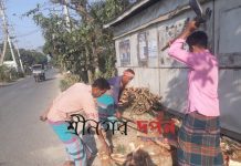 শ্রীনগরে কাঠুরিয়াদের কঠিন শ্রম সততার মাধ্যমে উপার্জিত টাকায় রয়েছে সুখ ও শান্তি