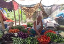 শ্রীনগরে সবজি বাজারে ক্রেতা উপস্থিতি কম বিক্রেতা হতাশ